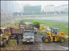 Diggers load up algae on trucks Diggers load up algae on trucks