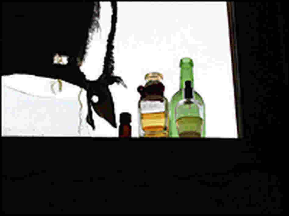 Bottles of experimental fragrances at Abdullah Arsallah and Shafiq Azizi's distillery.