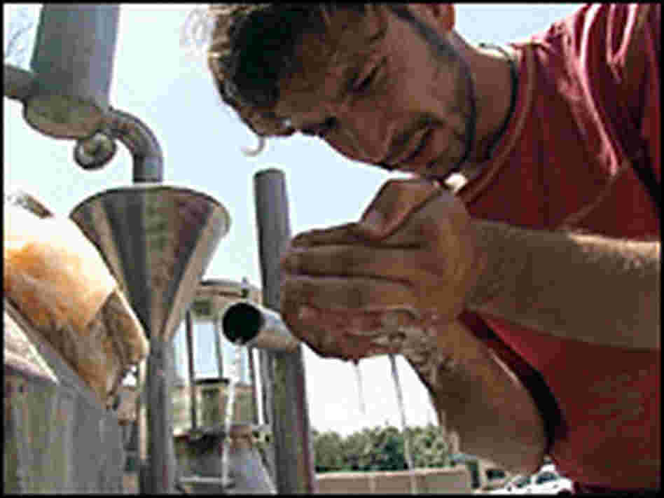 Azizi looks at cedar oil coming out of his distillery.