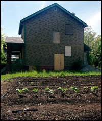 Urban Farming helped turn this empty lot in Detroit into a garden with neat rows of collard greens and tomatoes.