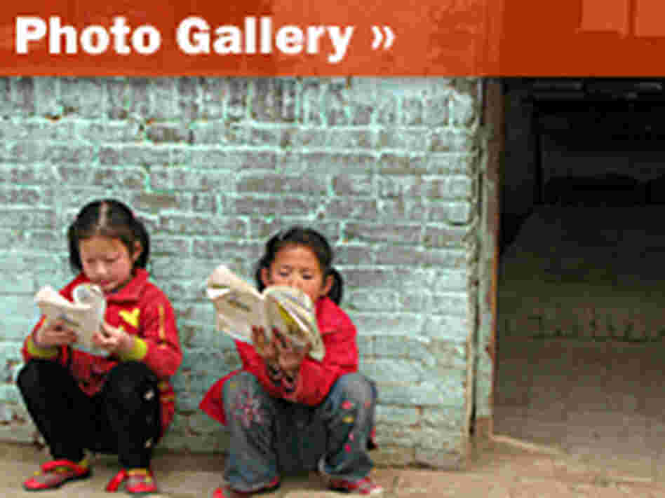 Photo Gallery Photo Gallery
