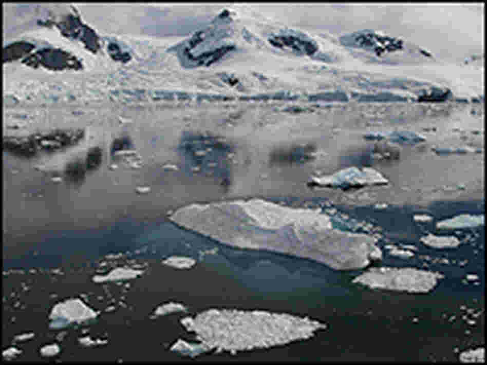 Iceberg