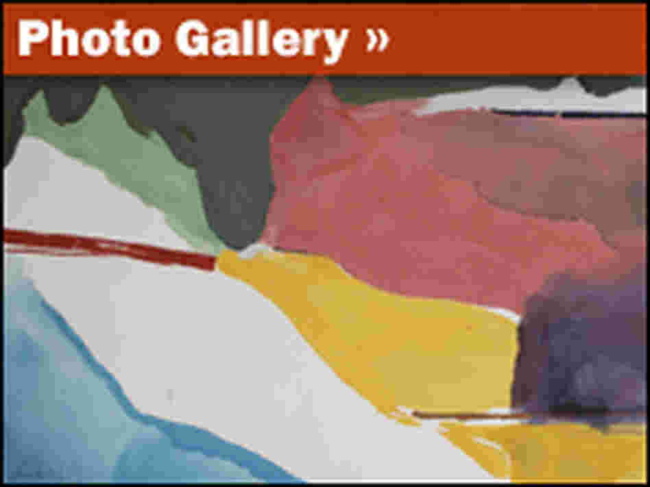 Photo Gallery Photo Gallery