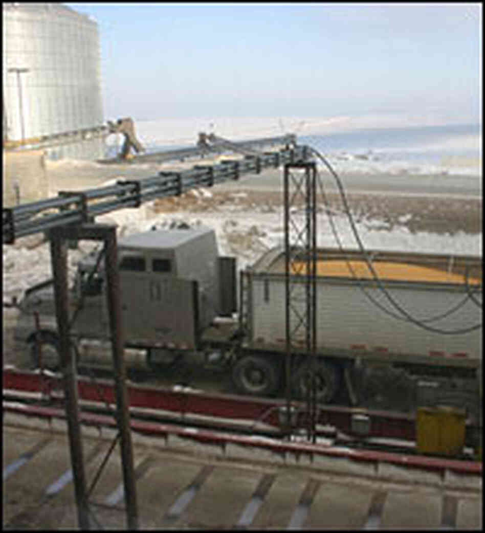 A truck delivers corn to the Quad County Corn Processors ethanol plant in Galva, Iowa.