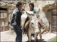 Donkeys are the main mode of transportation for villagers in the Band-e-Amir region.