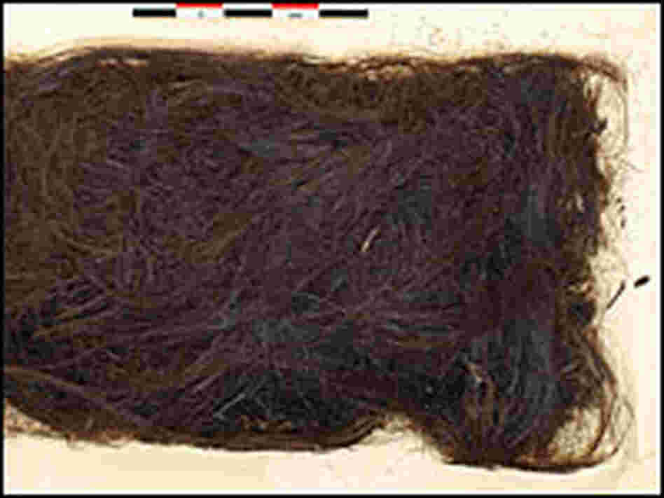 3,000-year-old human hair sample excavated from Greenland