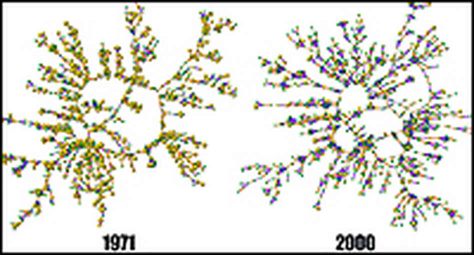 Diagram of smokers' relationships, 1971 and 2000