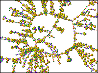 Changes in Smoking Behavior Within a Social Network