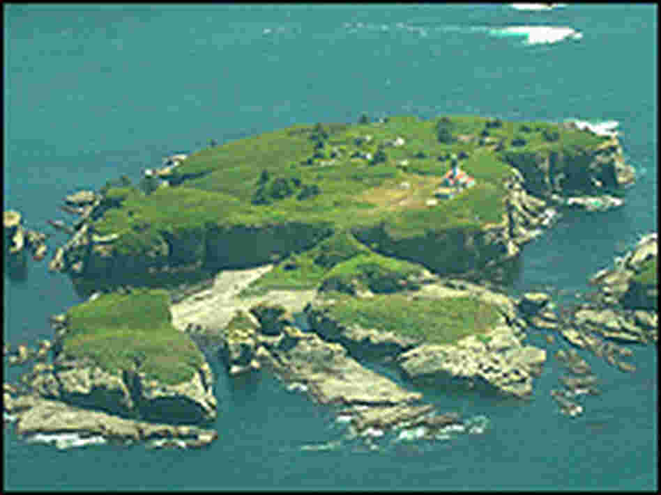 An aerial view of Tatoosh Island, Wash.