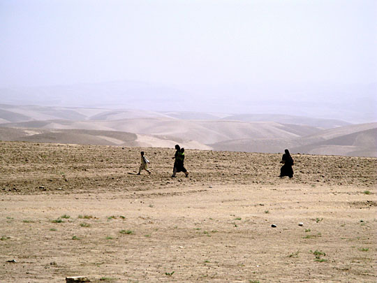 Empty wheat field in Afghanistan
