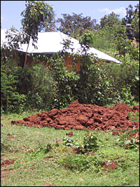 This mound of earth is the only evidence left of a house that was destroyed during the May 21 killings in Kisii. The owner has reportedly fled the community.