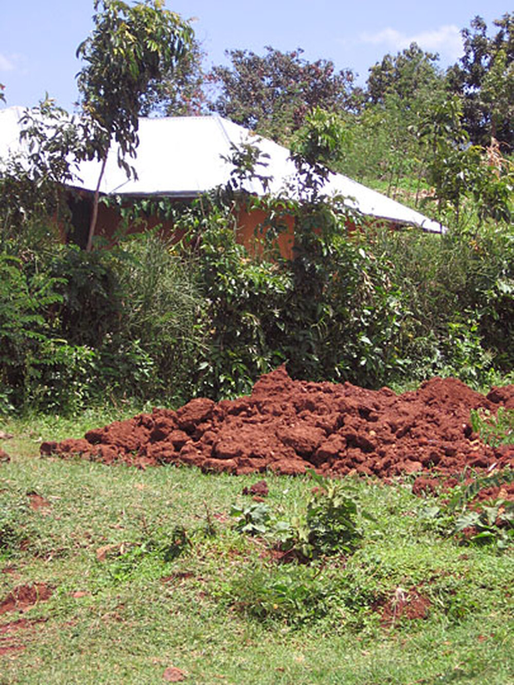 Mound of earth from burned house