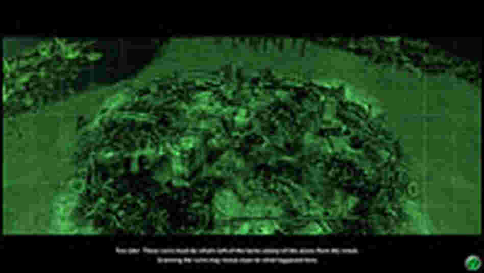 Players develop civilizations that can be warlike or religious.
