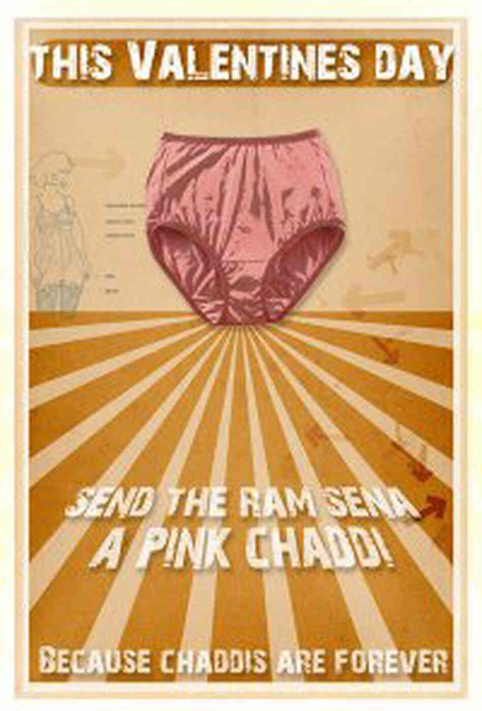 Pink bloomer campaign literature. Pink bloomer campaign literature.