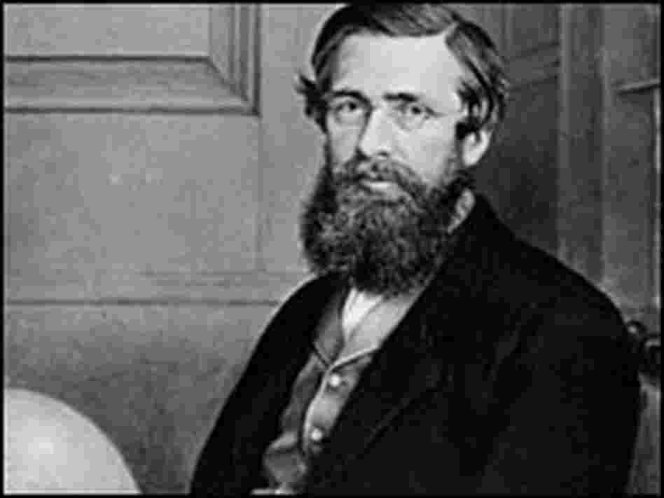 Alfred Russel Wallace, circa 1860