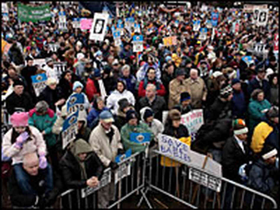 Abortion protesters on the national mall in Washington, D.C.
