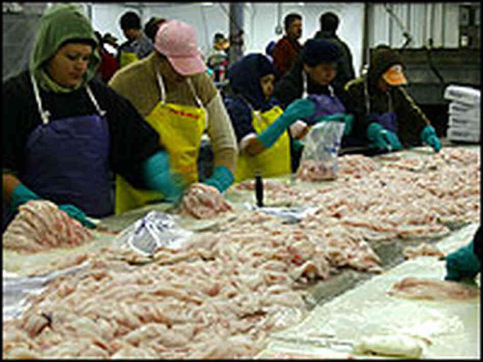 Workers slice fish inside Caito Fisheries processing plant.