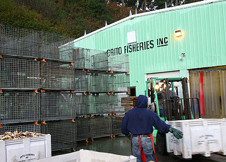 Caito Fisheries is one of the few fish processing plants left at the Fort Bragg port.