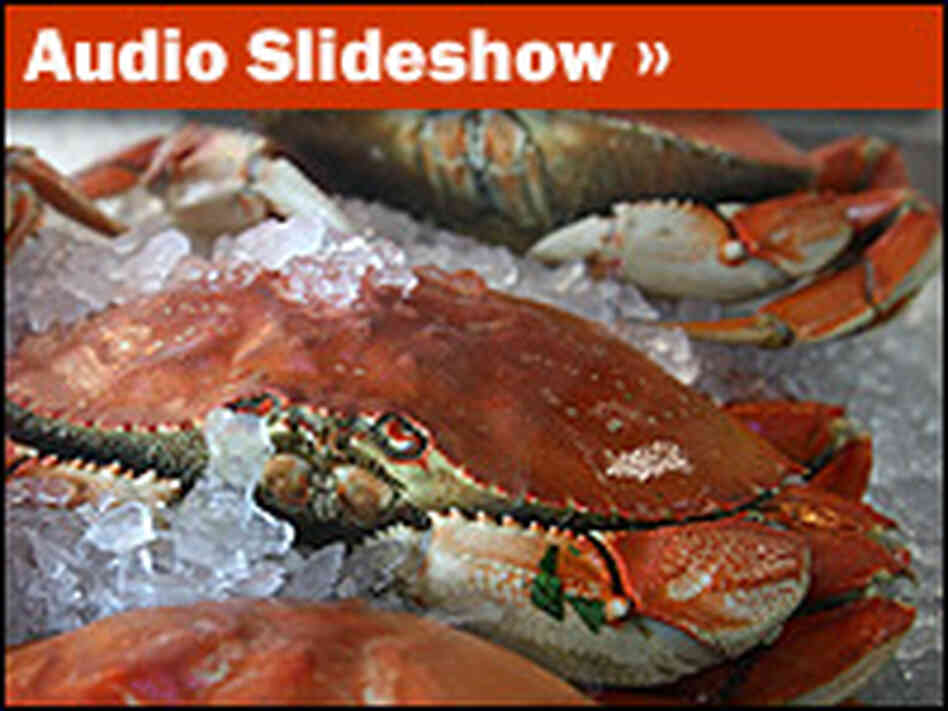 Audio Slideshow on the Dungeness crab industry.