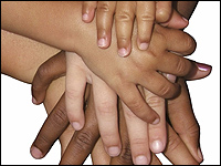 A picture of human hands of all skin colors.