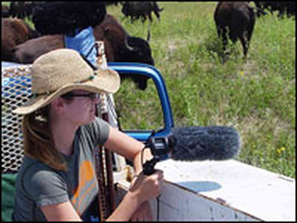 Scientist Megan Wyman in a field with bison.