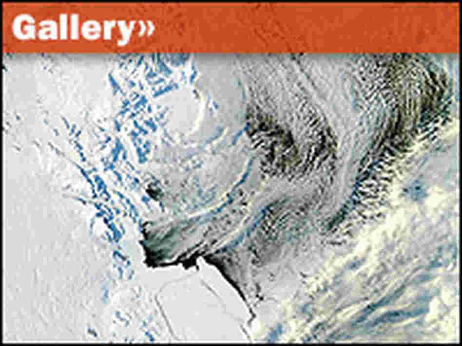 Satellites monitor shifting ice patterns in Antarctica's Ross Sea. Satellites monitor shifting ice patterns in Antarctica's Ross Sea.