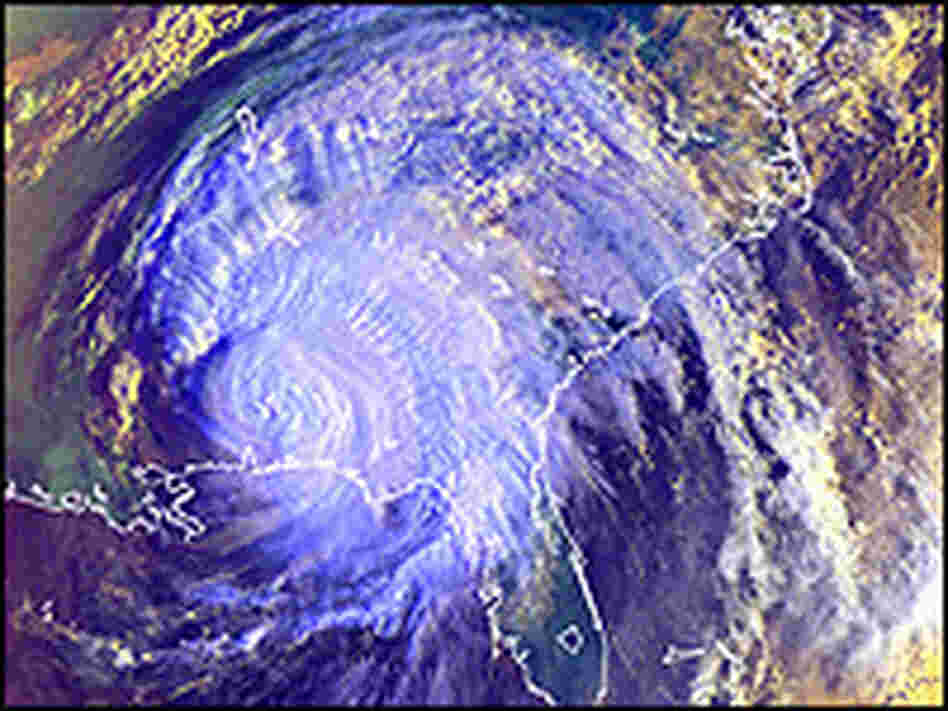 Satellite data allowed scientists to track Hurricane Ivan.