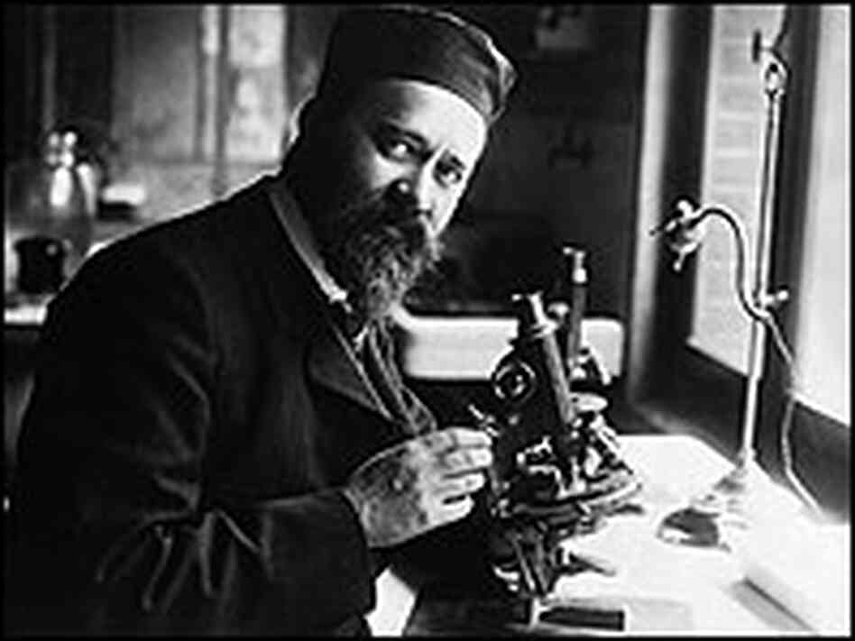 Albert Calmette, shown here in his lab in Lille, France. Albert Calmette, shown here in his lab in Lille, France.