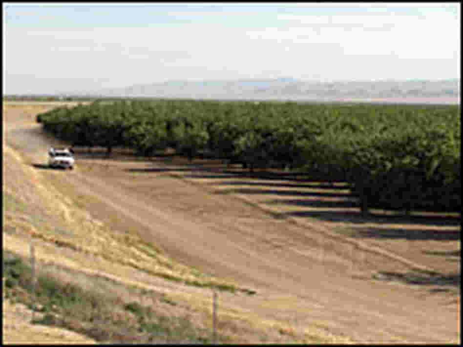 Fields along I-5