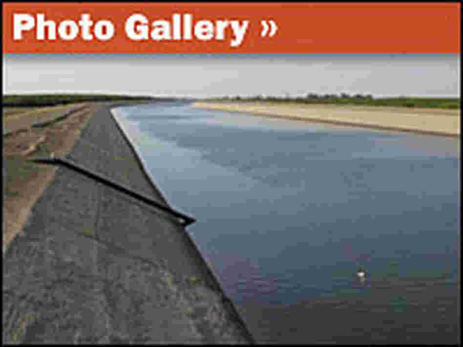 Photo Gallery: A Drying Westlands