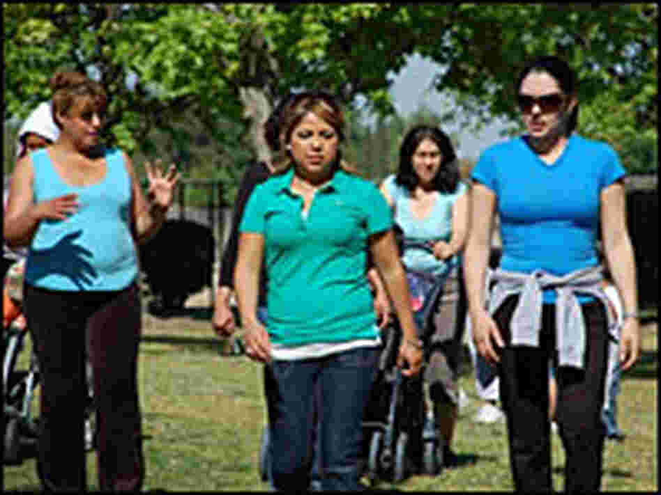 Slideshow about The Greenfield Walking Group Slideshow about The Greenfield Walking Group