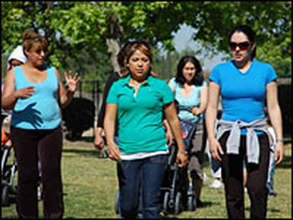 Slideshow about The Greenfield Walking Group