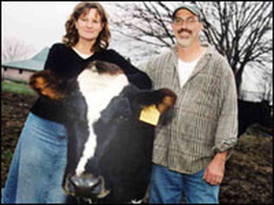 Debbie and Mark Apple, pictured with one of their milk cows. Debbie and Mark Apple, pictured with one of their milk cows.