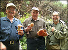 Angelo Garro, far right, stands next to fellow Italian foragers Angelo Garro, far right, stands next to fellow Italian foragers