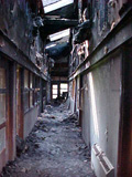 office burned by eco-terrorists