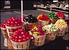 Fresh fruit and vegetables