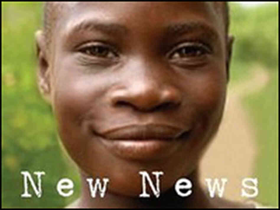 Cover of 'New News Out of Africa' Cover of 'New News Out of Africa'