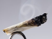 Reefer