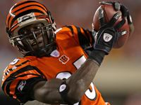 Chad Johnson