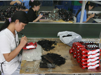 Factory in China