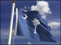 South Carolina flag