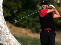 Tiger Woods