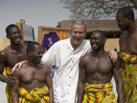 bush