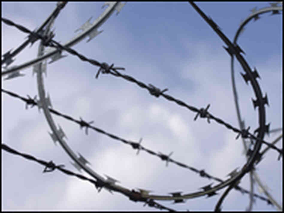 Barbed Wire Barbed Wire
