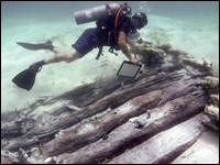 Diver