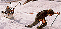 sled