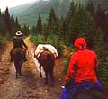 On the trail