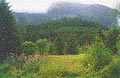 Tongass National Forest