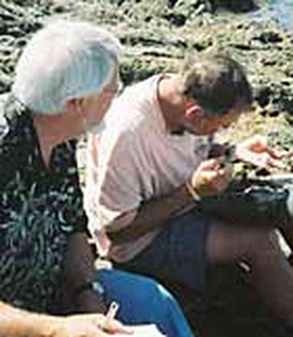 NPR's John McChesney, left, takes notes with expedition’s chief scientist, Bill Gilly NPR's John McChesney, left, takes notes with expedition’s chief scientist, Bill Gilly