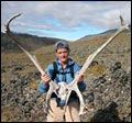 Caribou horns